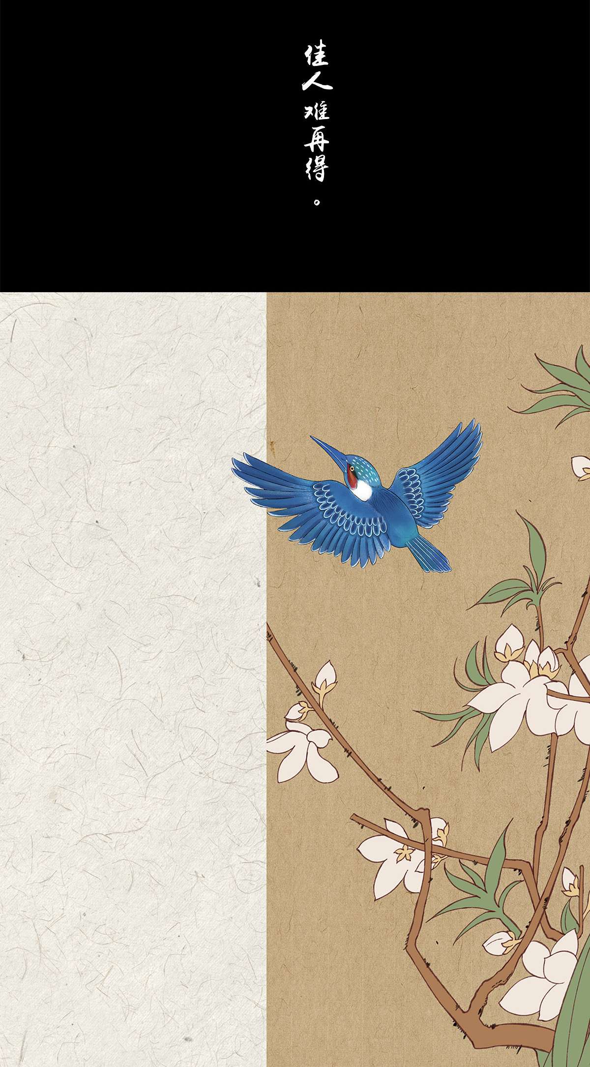 揽艳劫03 索隐 佳人曲