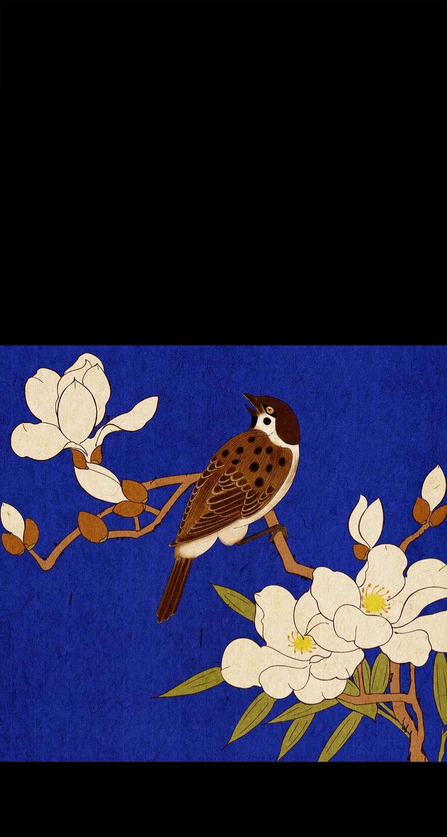 揽艳劫33十二篇 一话 十二阶