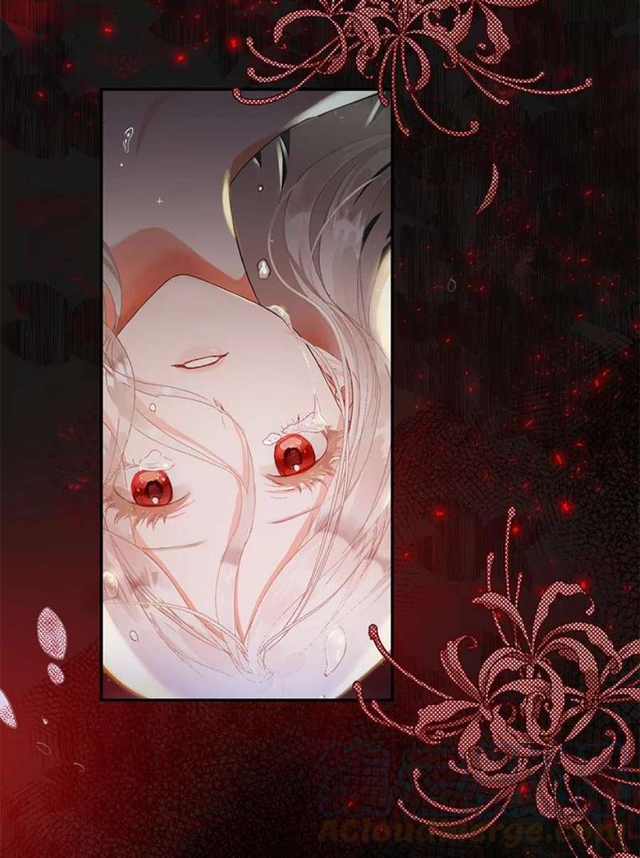 成为我笔下男主之妻1.菲奥娜·格林