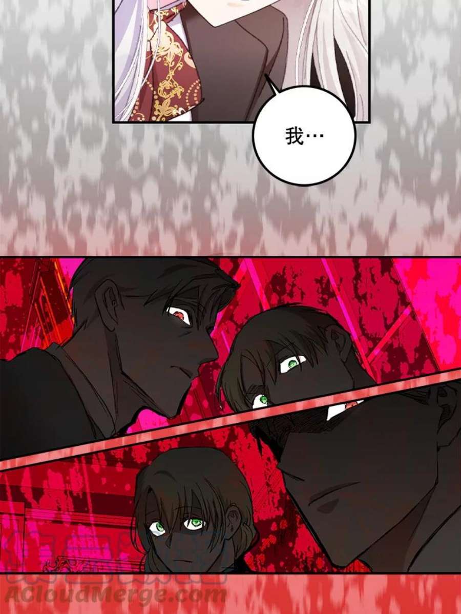 成为我笔下男主之妻1.菲奥娜·格林