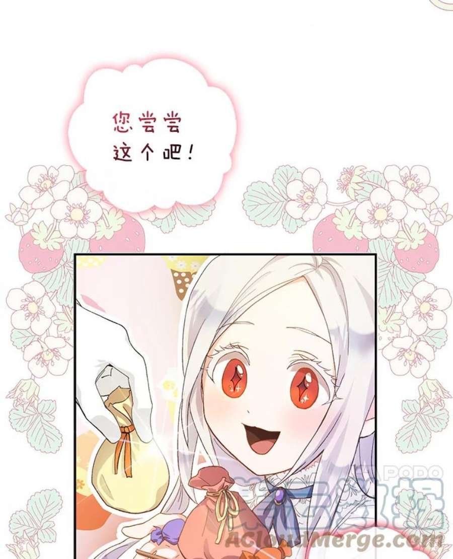 成为我笔下男主之妻4.天才小魔法师