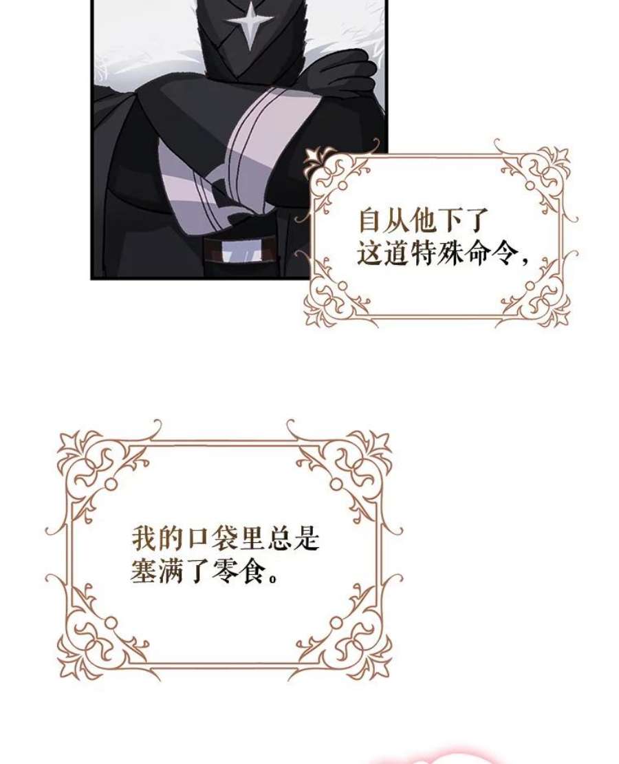 成为我笔下男主之妻4.天才小魔法师