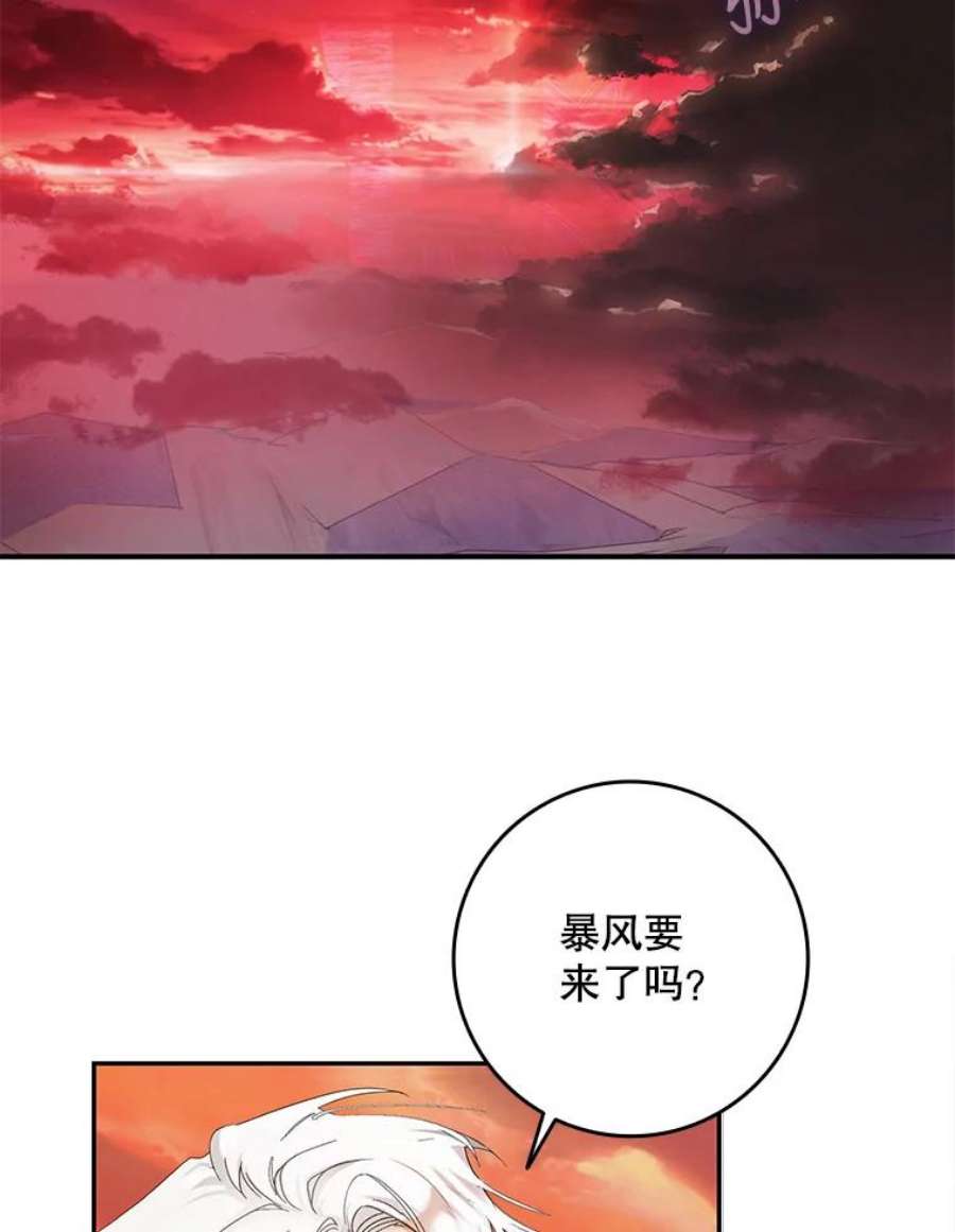 成为我笔下男主之妻4.天才小魔法师