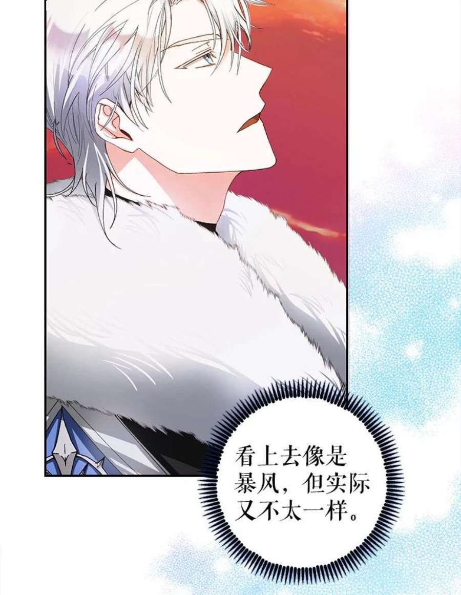 成为我笔下男主之妻4.天才小魔法师
