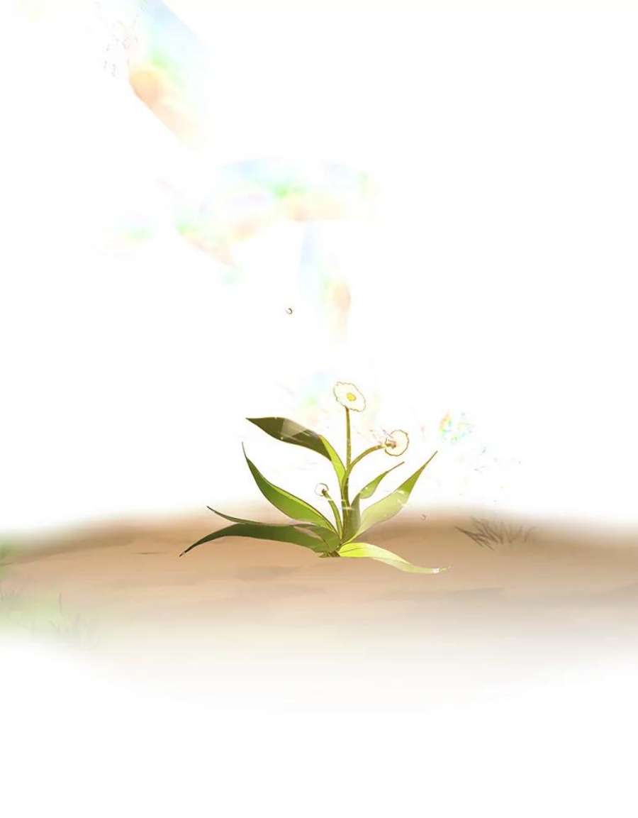 成为我笔下男主之妻5.战场上的少年