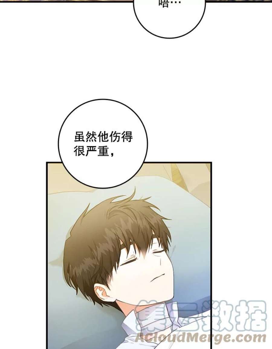 成为我笔下男主之妻6.西格伦