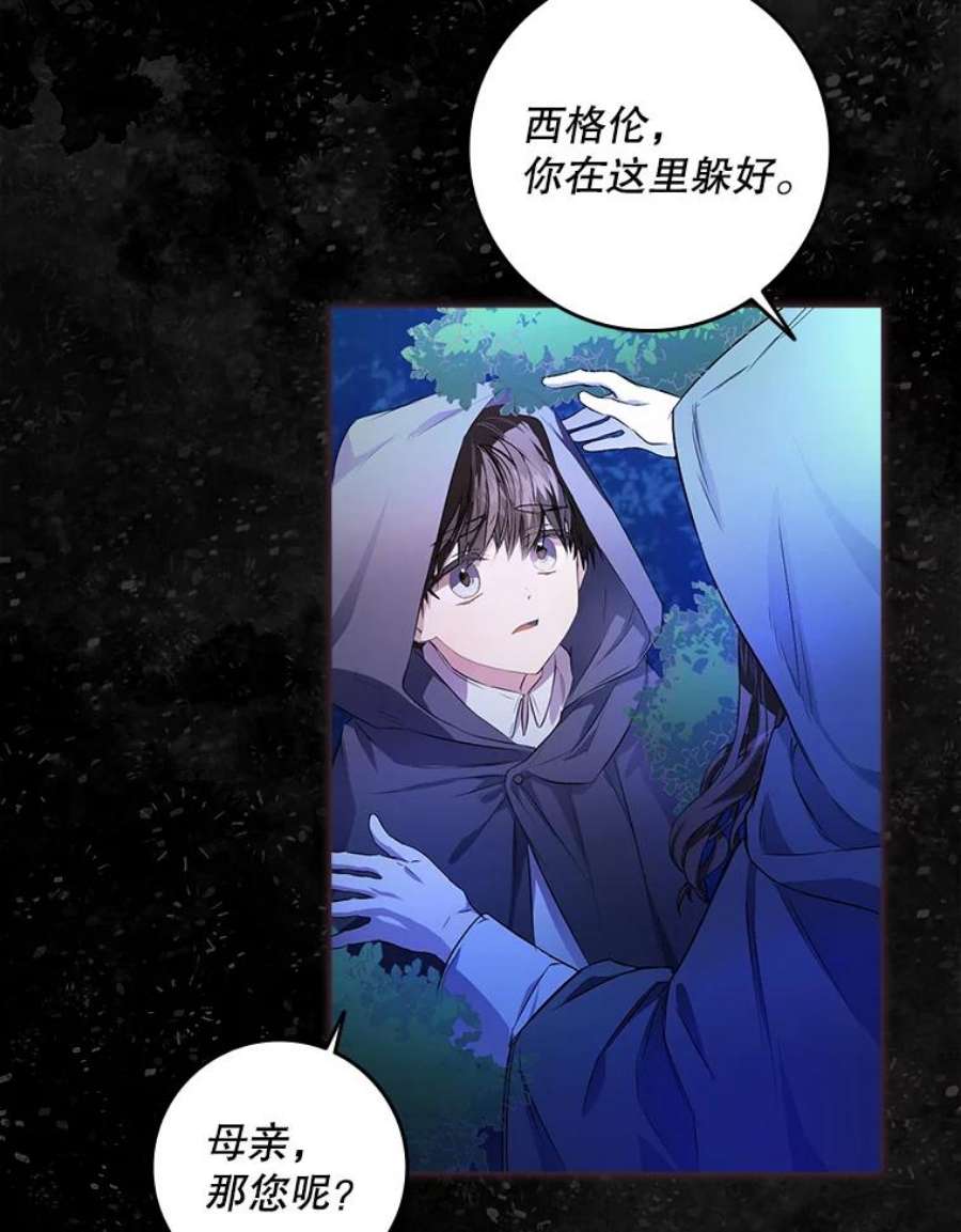 成为我笔下男主之妻6.西格伦