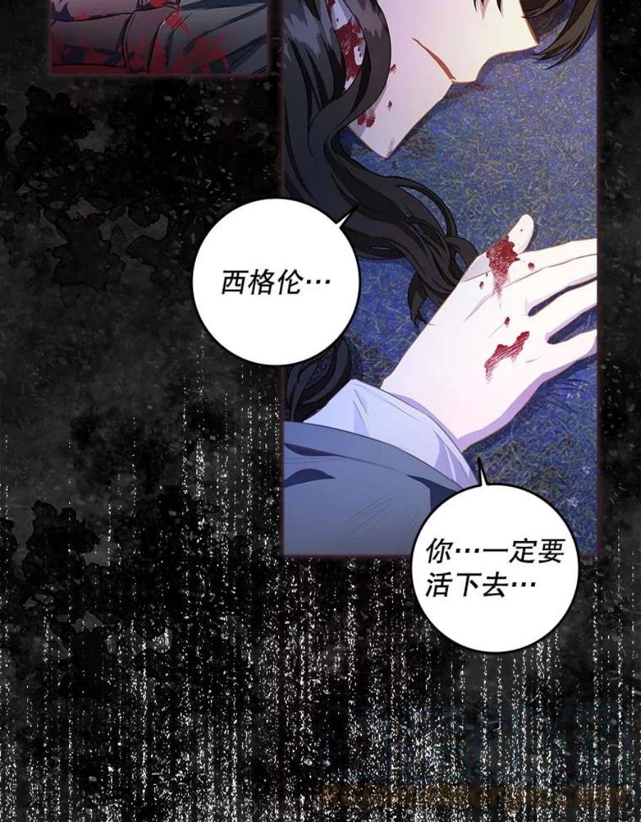 成为我笔下男主之妻6.西格伦