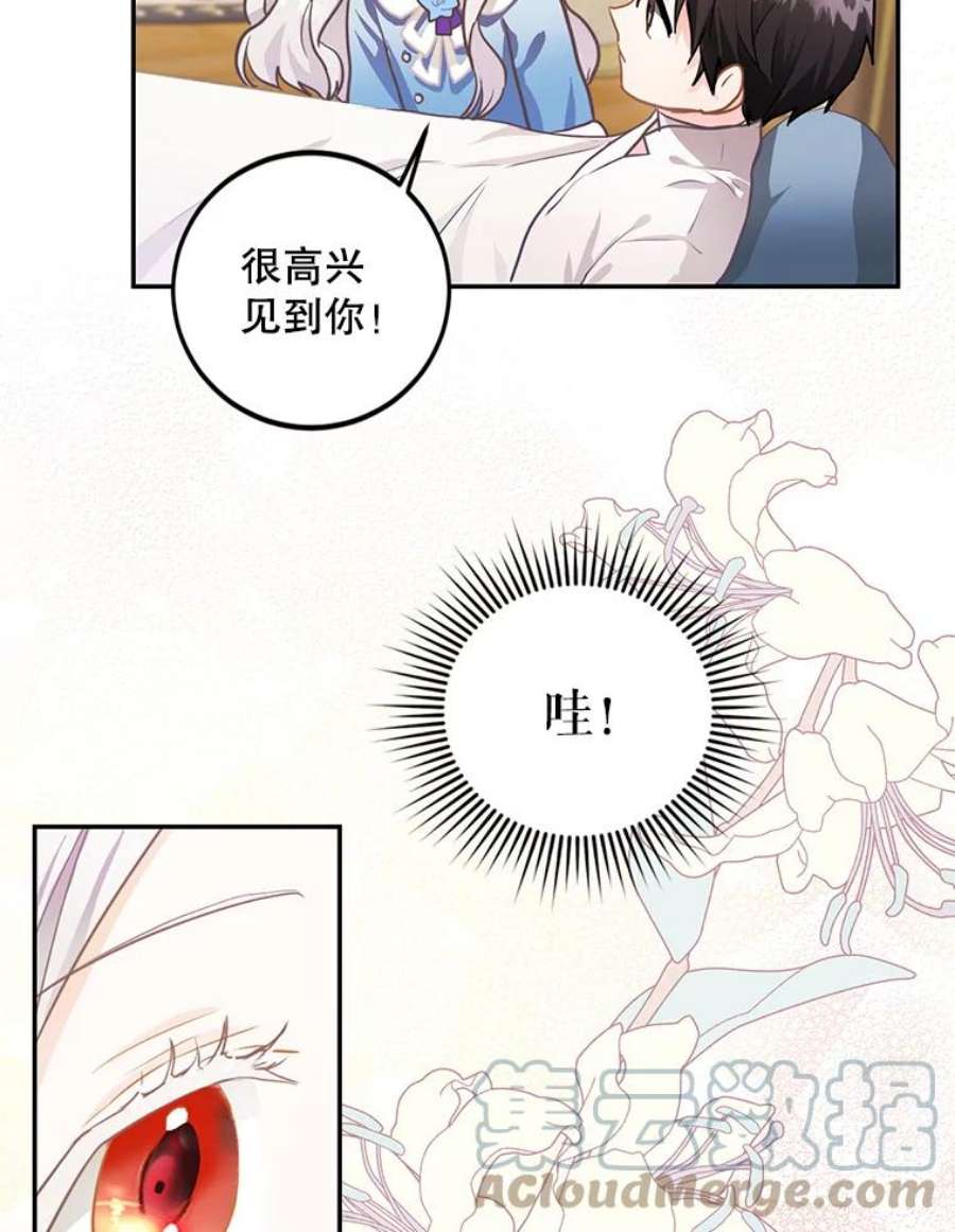 成为我笔下男主之妻6.西格伦