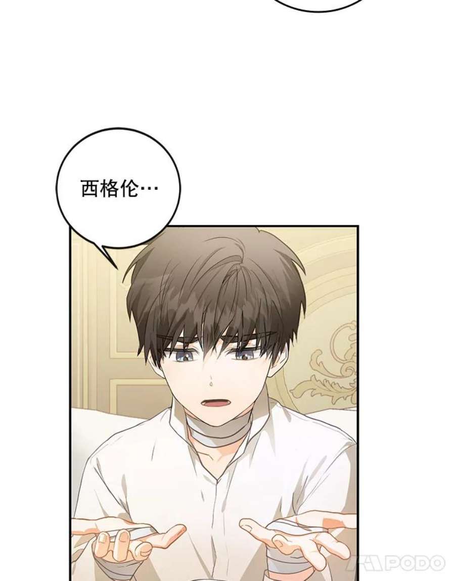 成为我笔下男主之妻6.西格伦