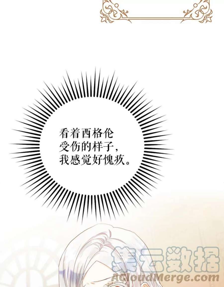 成为我笔下男主之妻6.西格伦