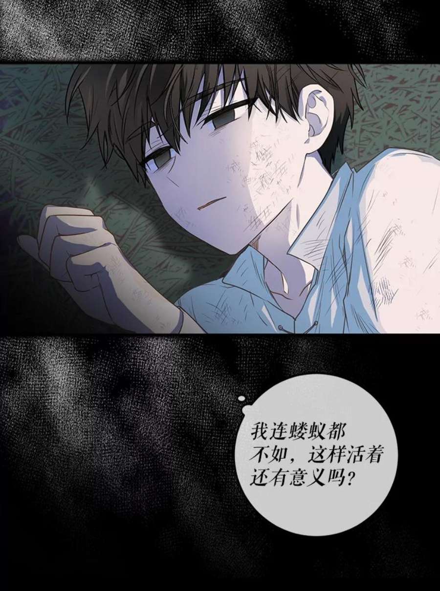 成为我笔下男主之妻8.伤痕