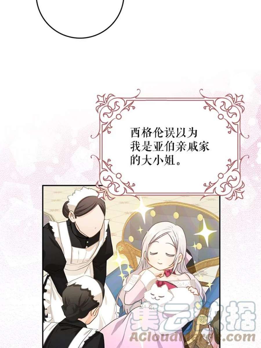 成为我笔下男主之妻8.伤痕
