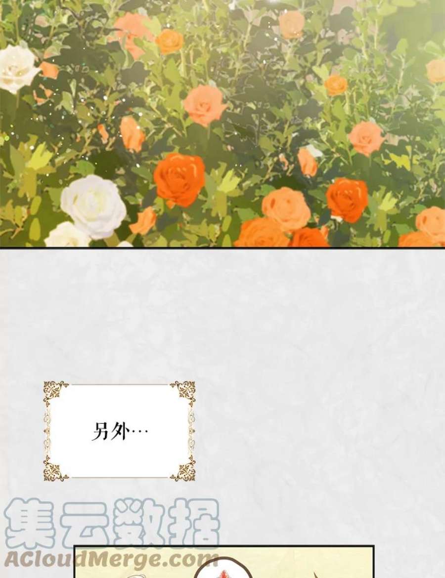 成为我笔下男主之妻11.去留的抉择