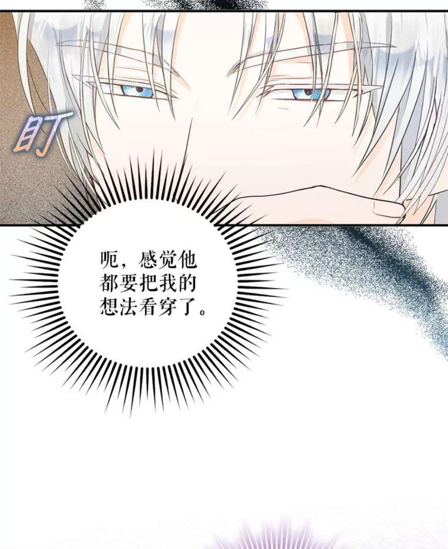 成为我笔下男主之妻12.卡尔佣兵团