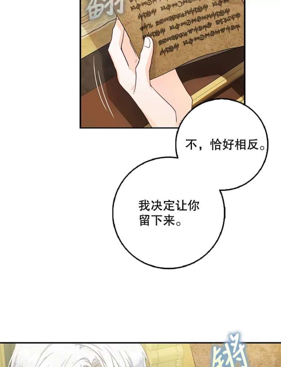 成为我笔下男主之妻12.卡尔佣兵团