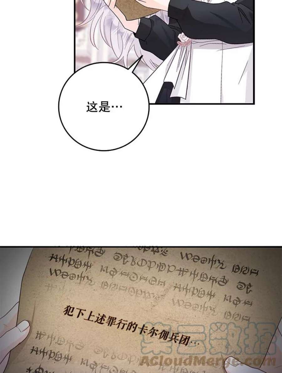 成为我笔下男主之妻12.卡尔佣兵团