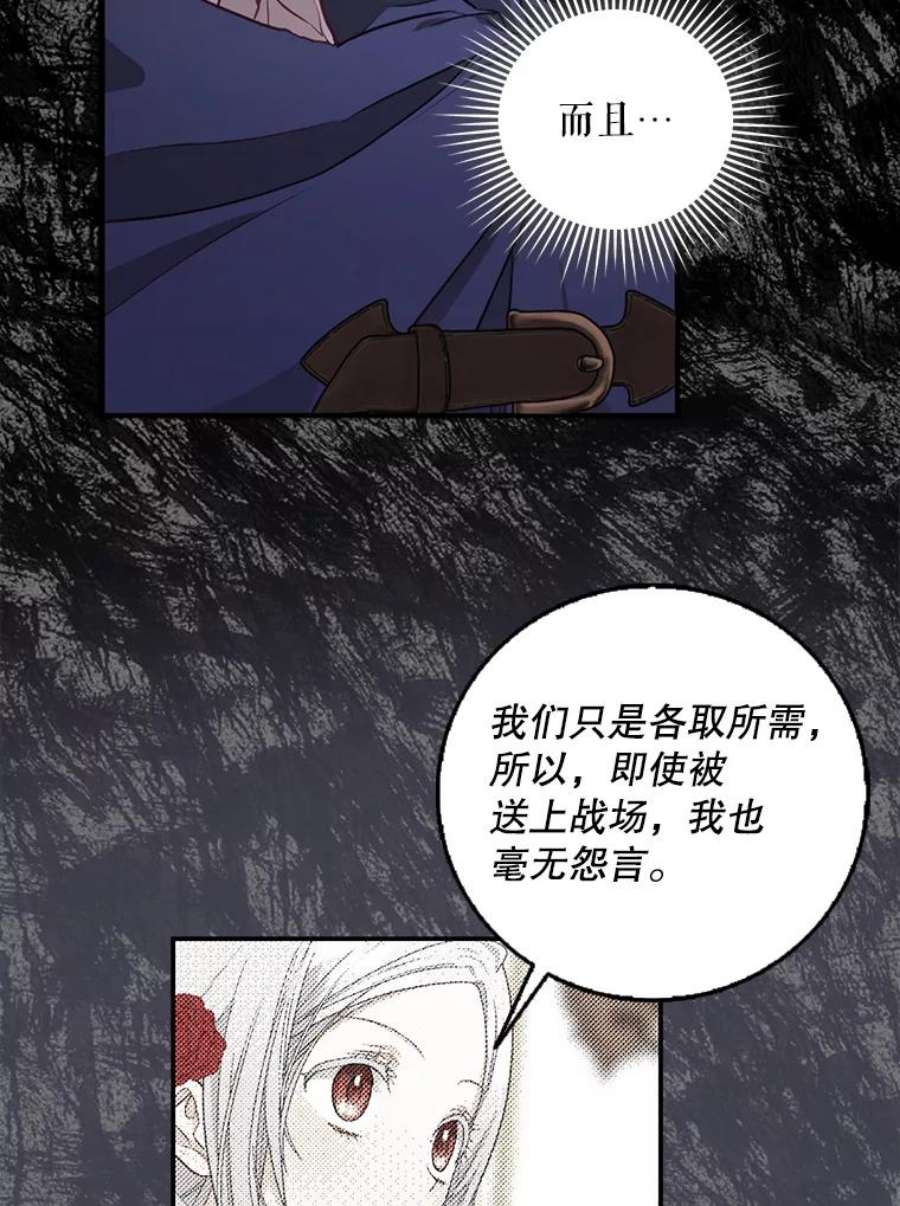 成为我笔下男主之妻12.卡尔佣兵团