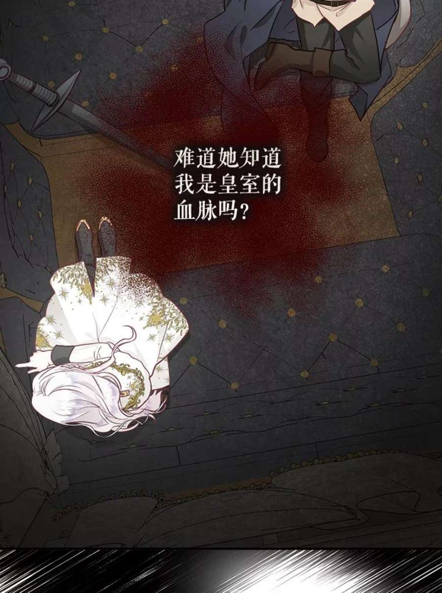 成为我笔下男主之妻12.卡尔佣兵团