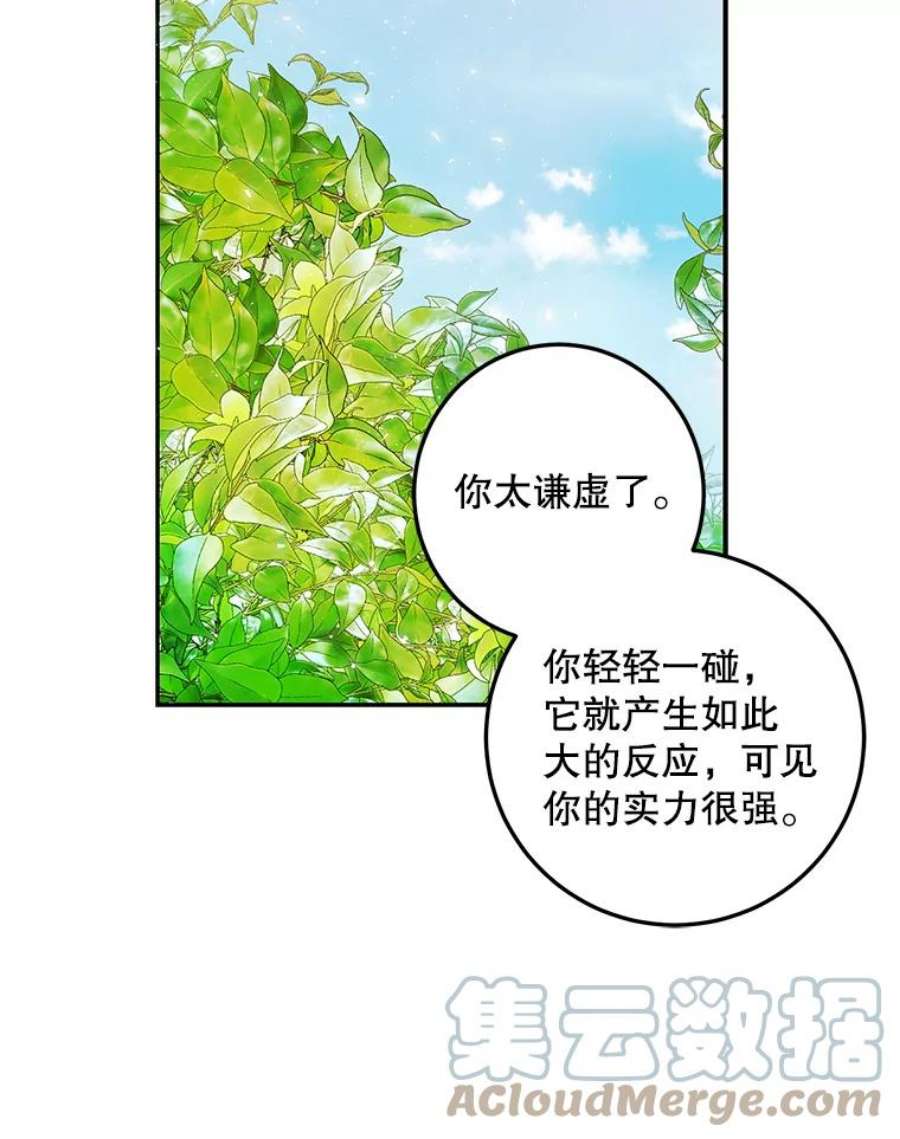 成为我笔下男主之妻26.阿伦特