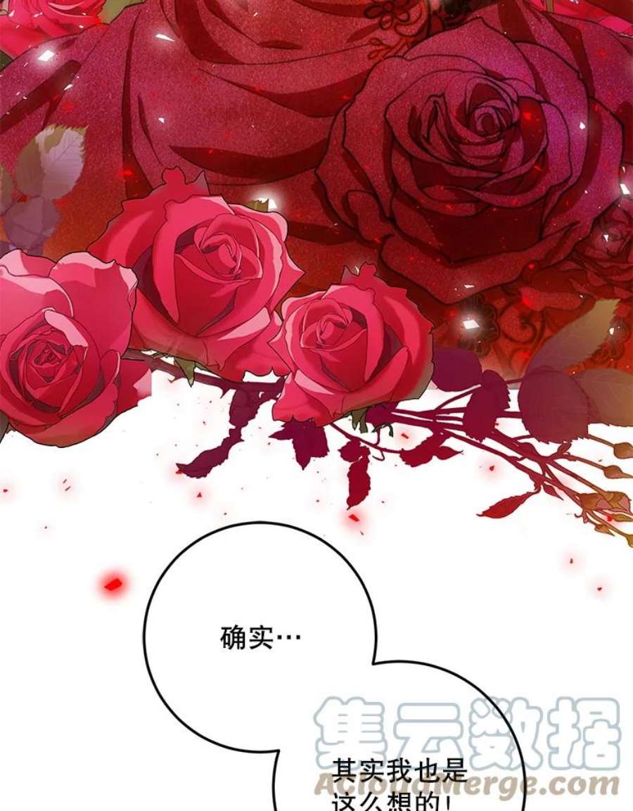 成为我笔下男主之妻31.里维娅