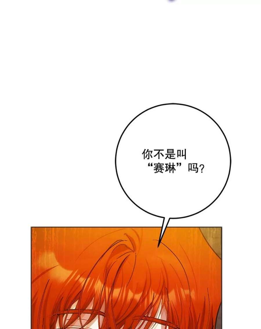 成为我笔下男主之妻36.继承人