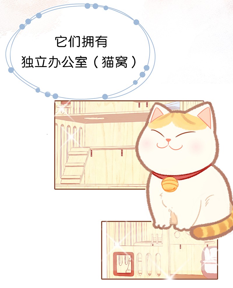 喵铃铛楔子 喵？