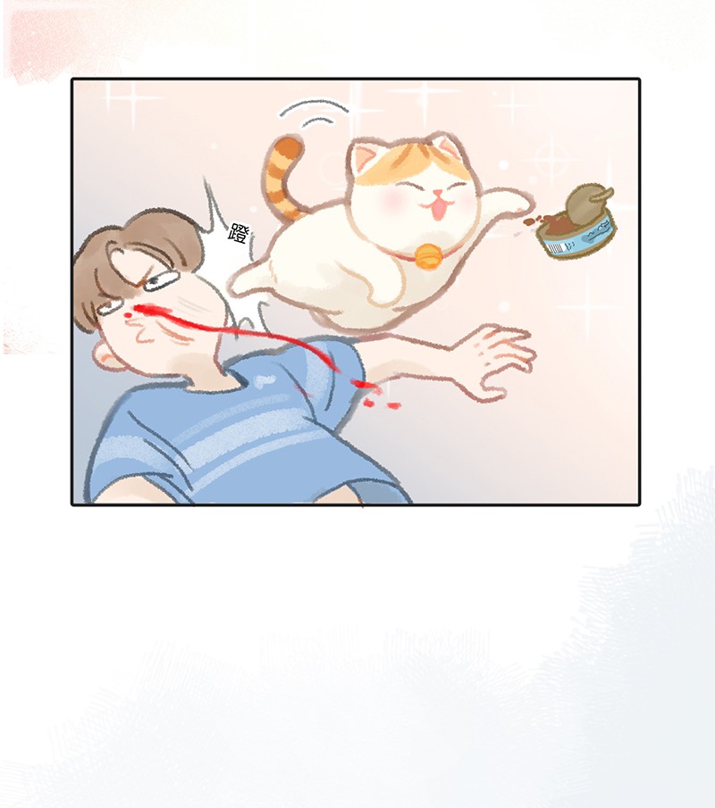 喵铃铛楔子 喵？