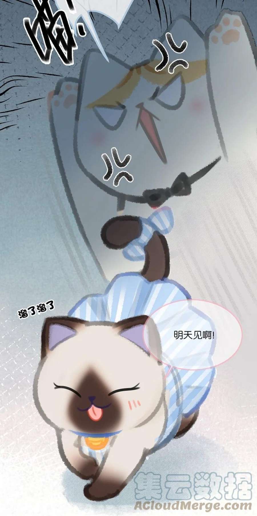 喵铃铛04 楼上的女装大佬？！