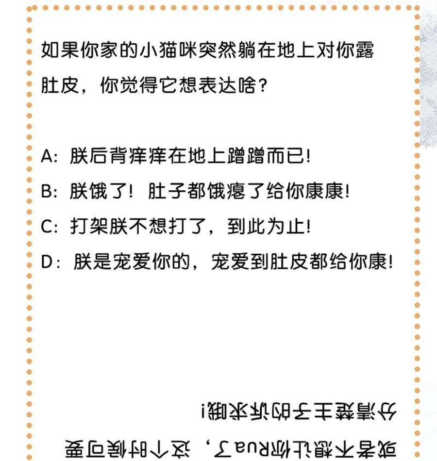 喵铃铛04 楼上的女装大佬？！