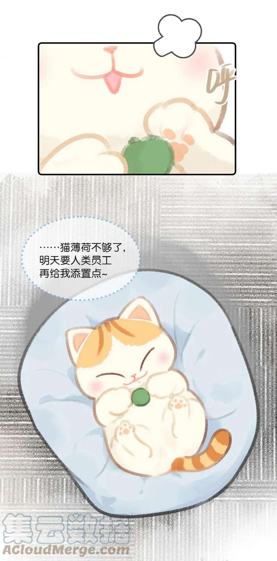 喵铃铛04 楼上的女装大佬？！