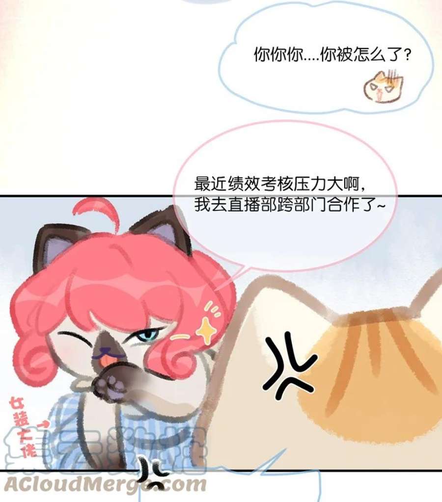 喵铃铛04 楼上的女装大佬？！