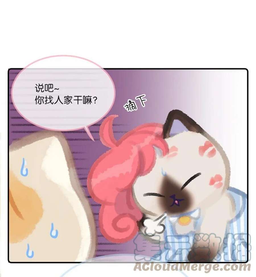 喵铃铛04 楼上的女装大佬？！