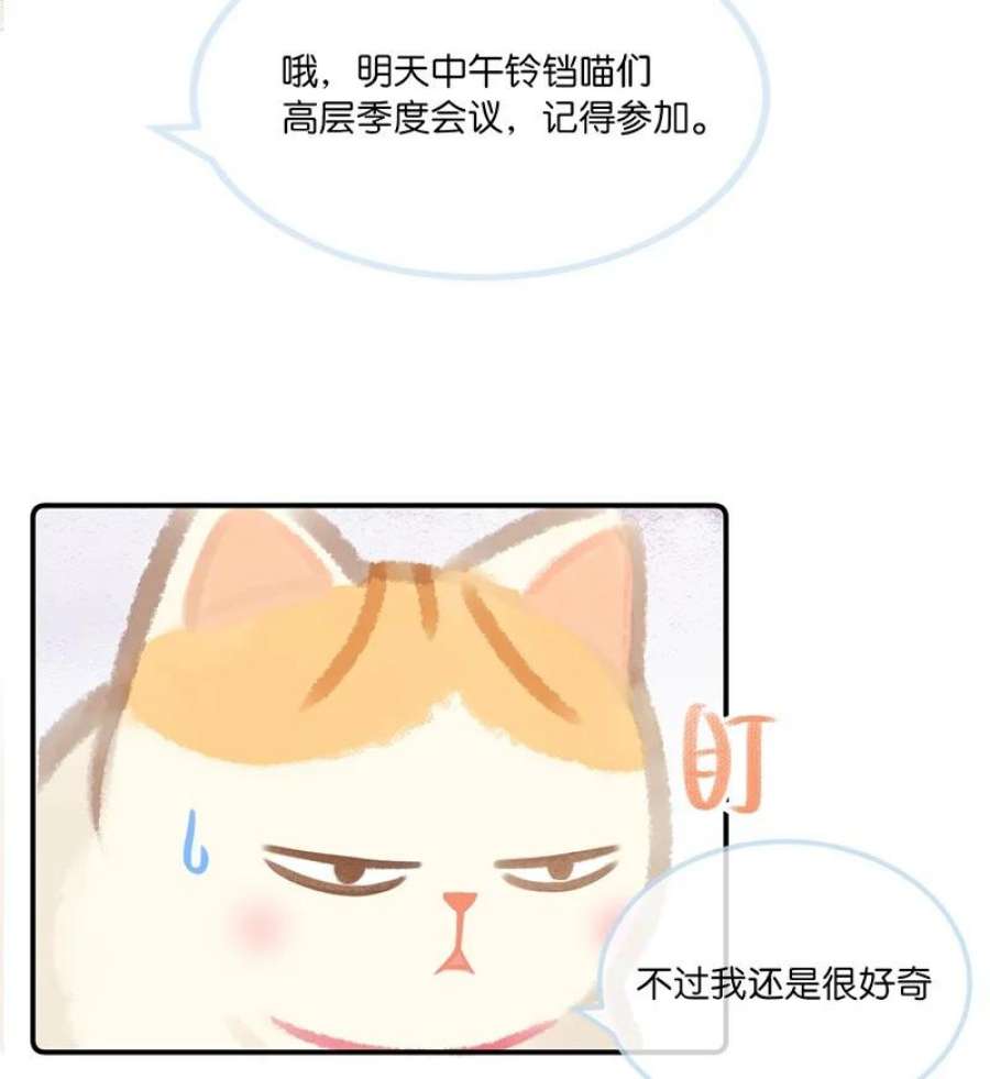 喵铃铛04 楼上的女装大佬？！