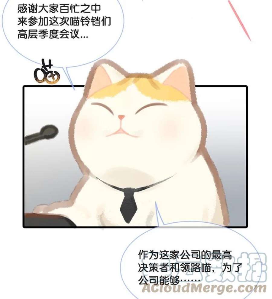 喵铃铛05 高层资源整合会议？！