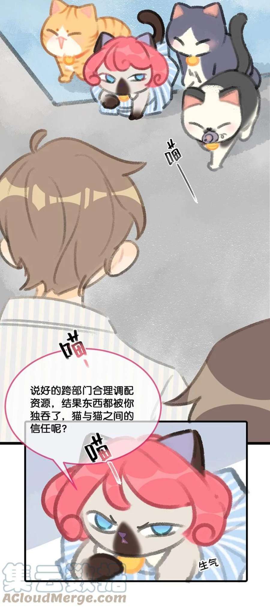 喵铃铛06 救……救驾！