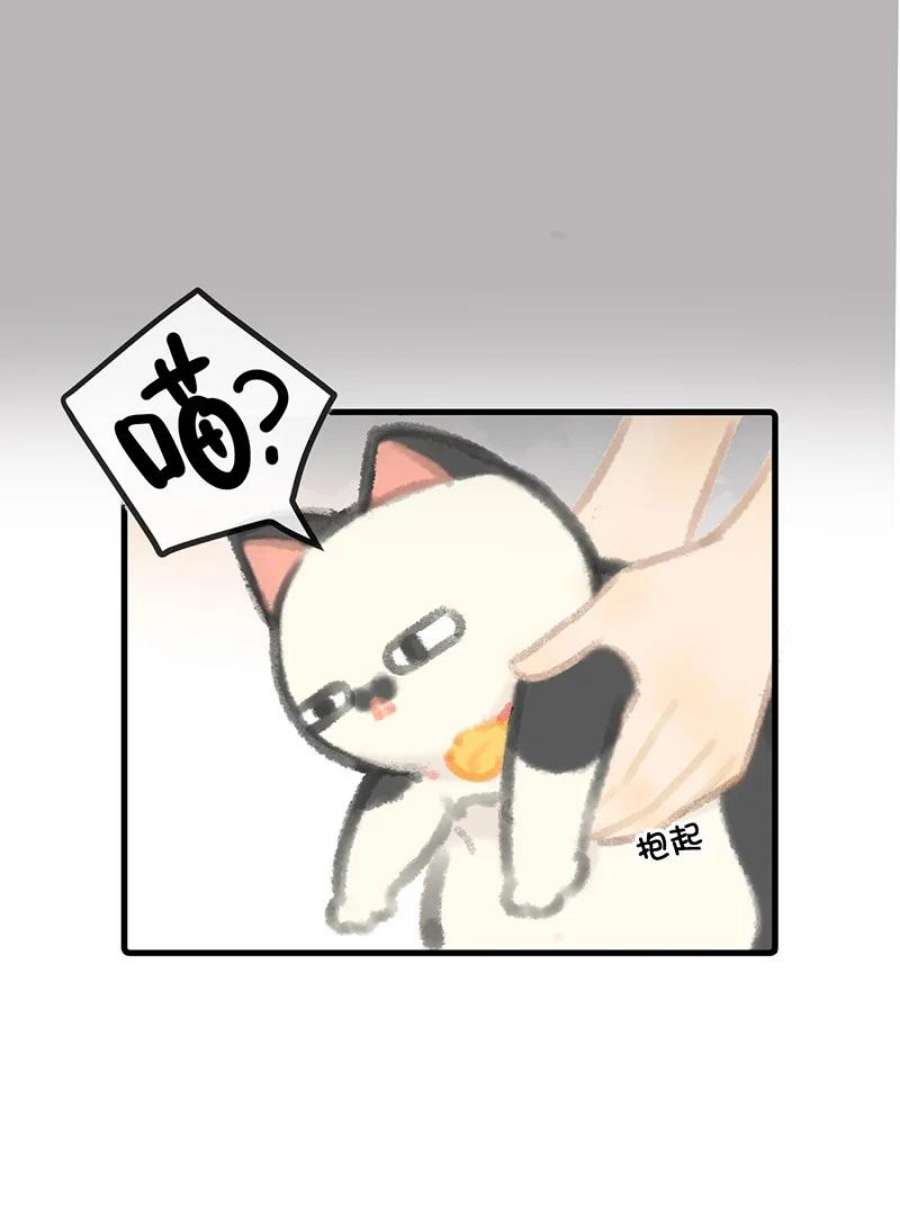 喵铃铛06 救……救驾！