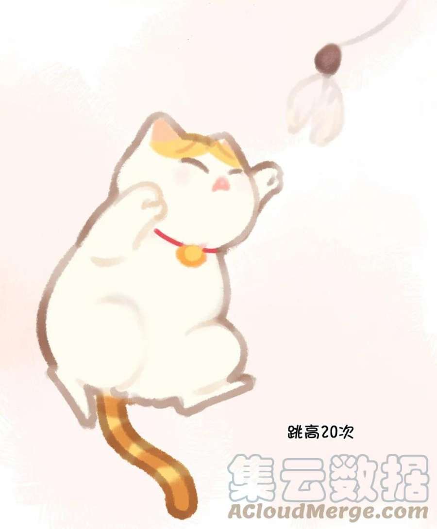 喵铃铛07 减肥是不可能减肥的！