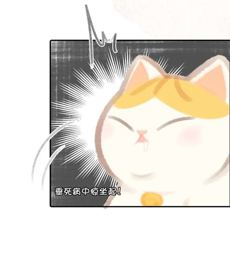 喵铃铛07 减肥是不可能减肥的！