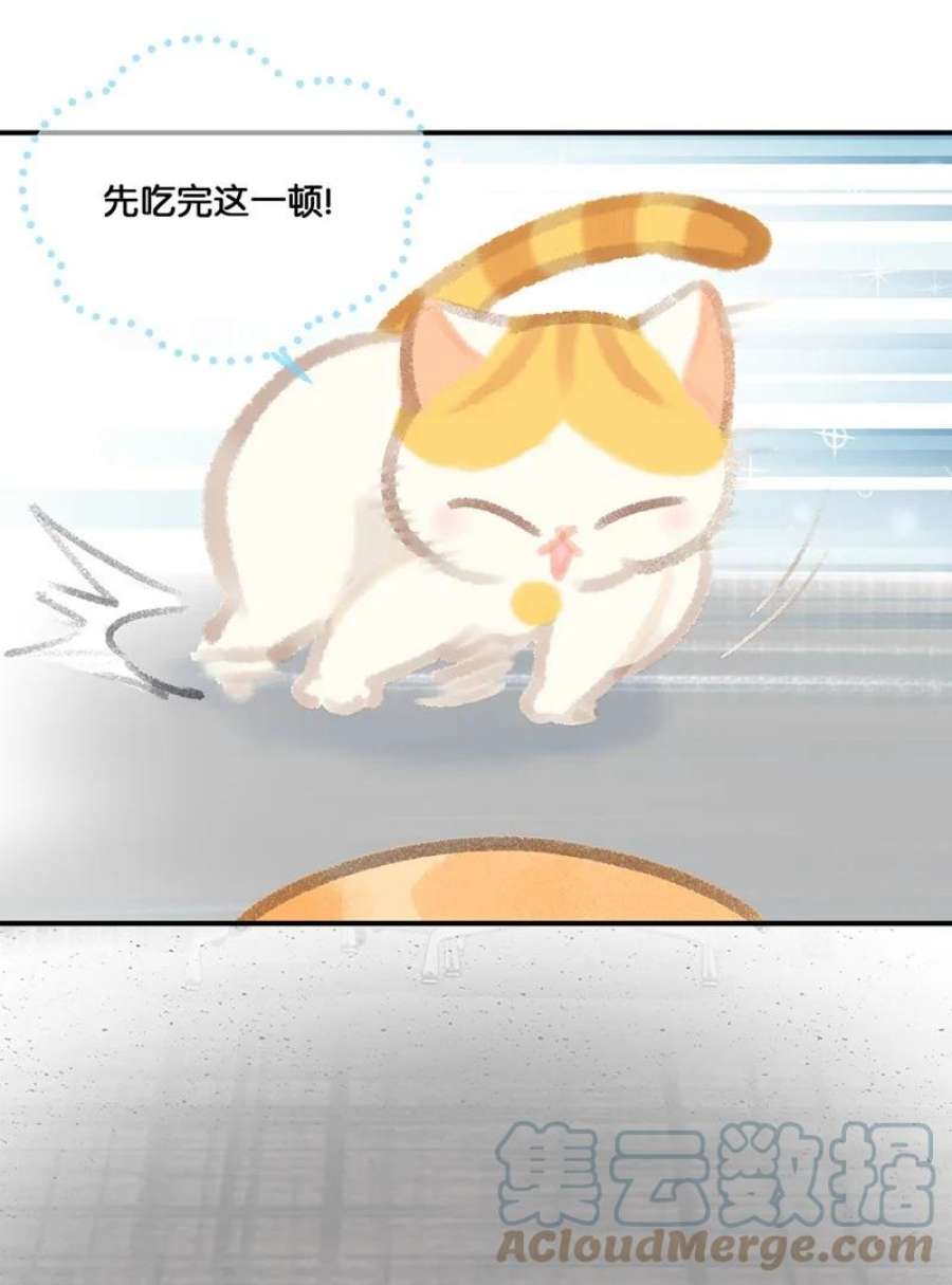 喵铃铛07 减肥是不可能减肥的！