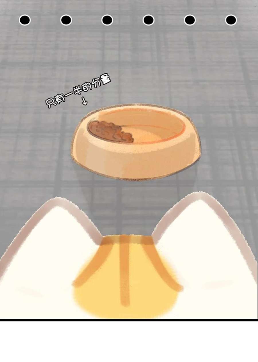 喵铃铛07 减肥是不可能减肥的！