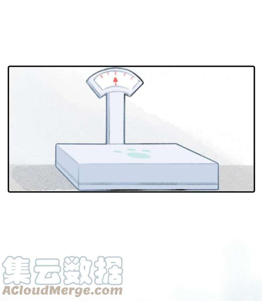 喵铃铛07 减肥是不可能减肥的！