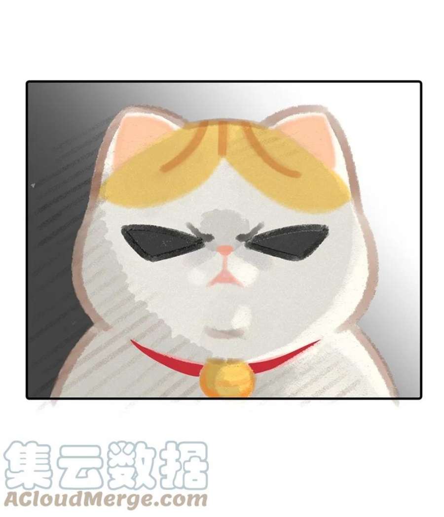 喵铃铛07 减肥是不可能减肥的！