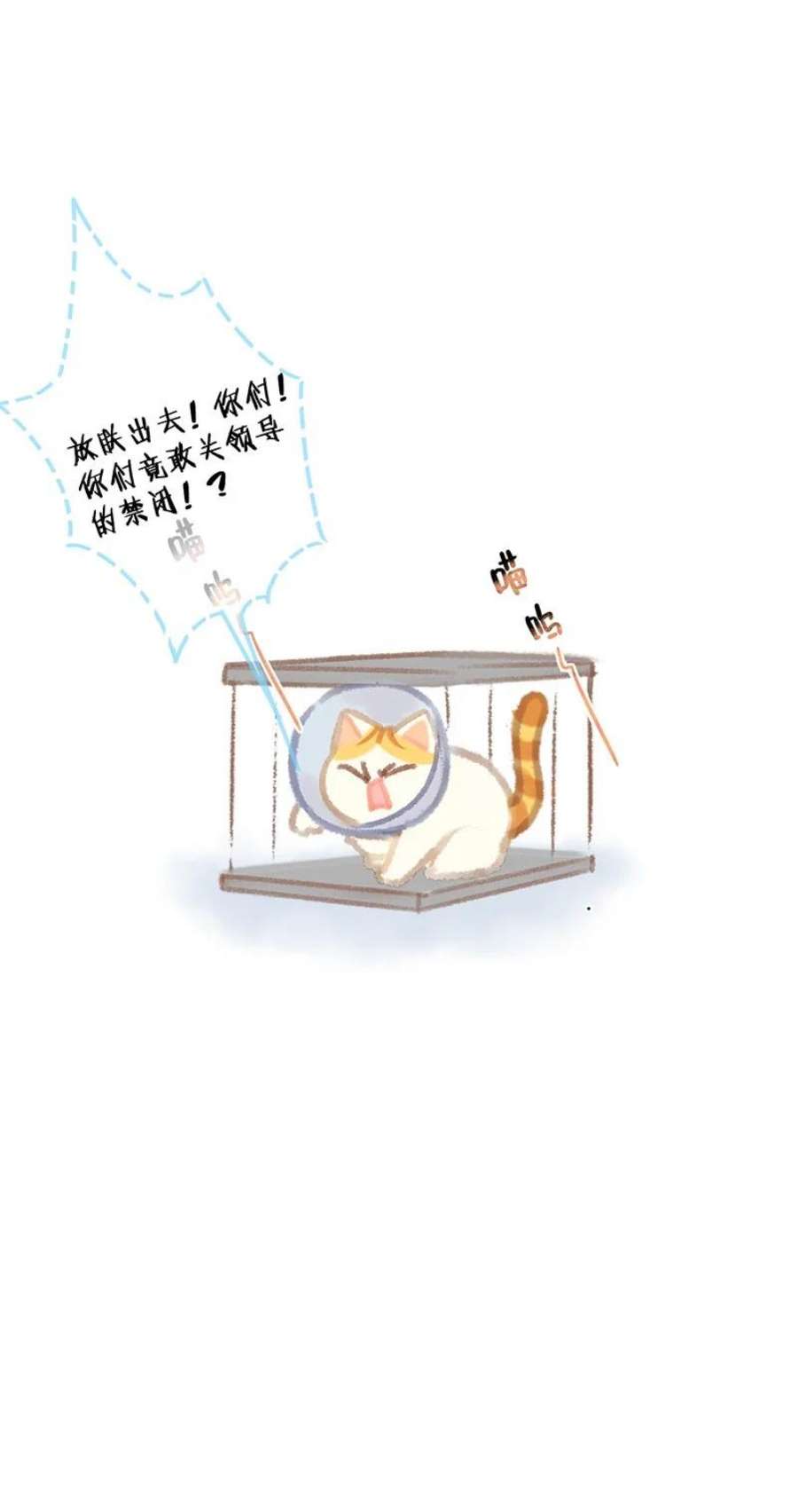 喵铃铛07 减肥是不可能减肥的！