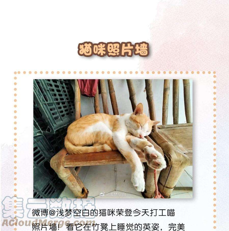 喵铃铛07 减肥是不可能减肥的！