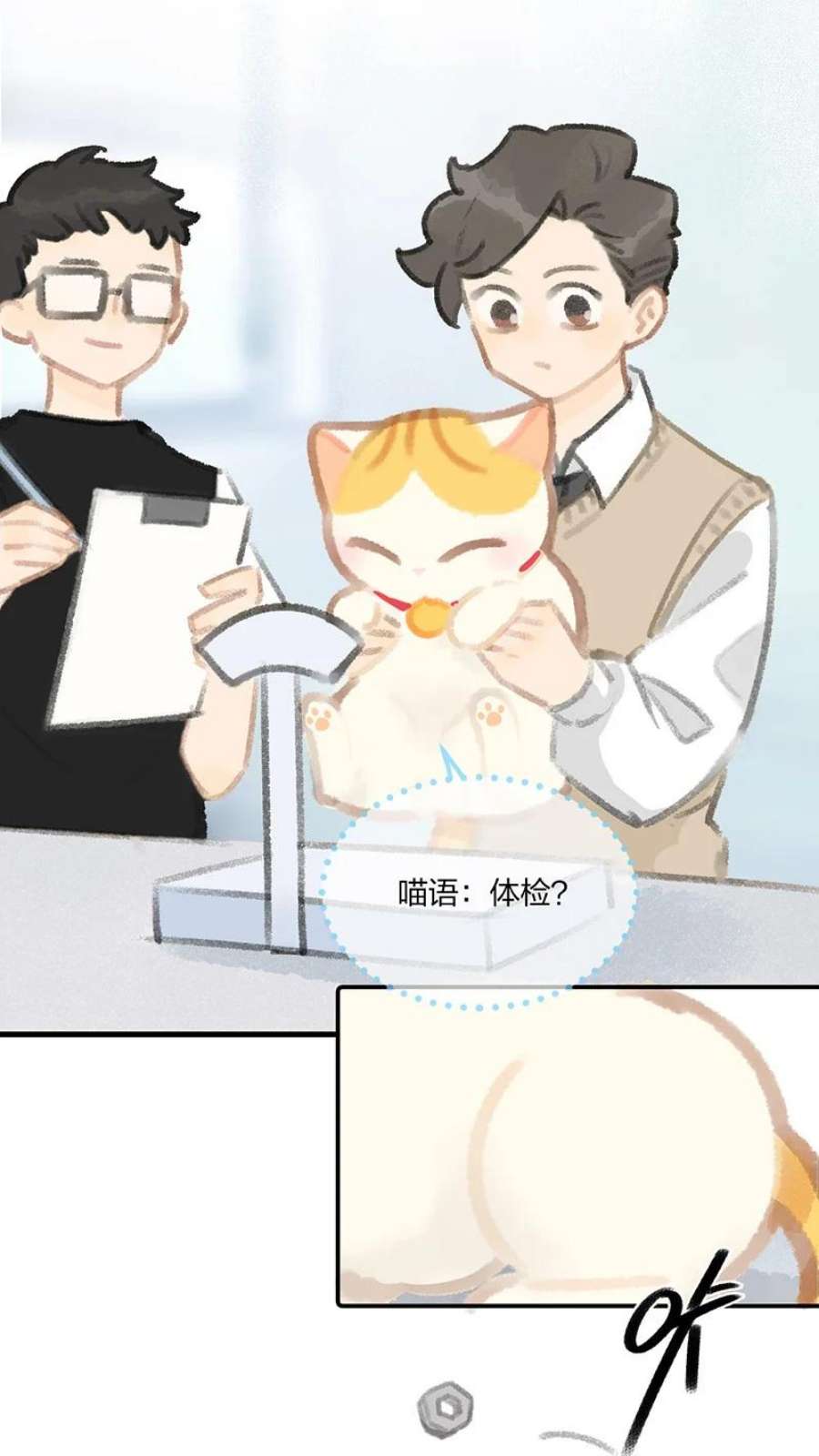 喵铃铛07 减肥是不可能减肥的！