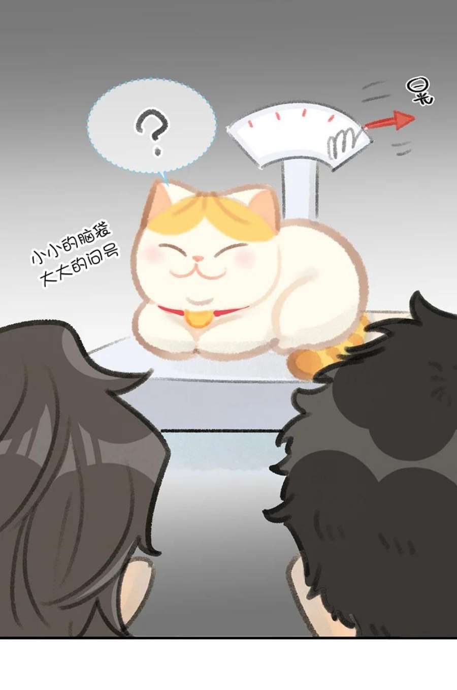 喵铃铛07 减肥是不可能减肥的！