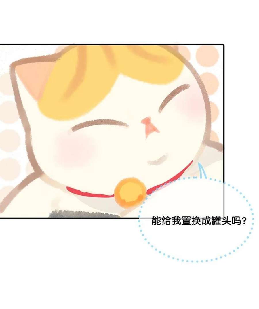 喵铃铛07 减肥是不可能减肥的！