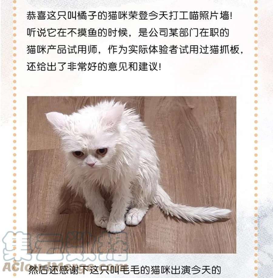 喵铃铛08 死宅的理由！