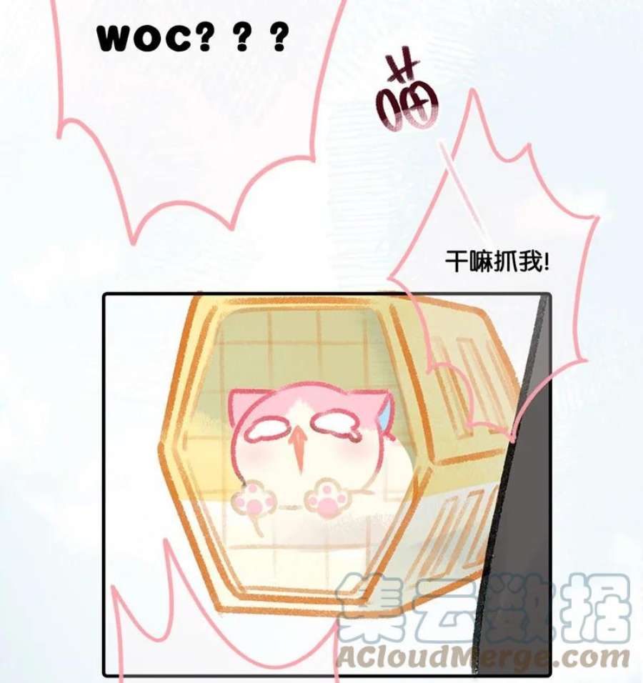 喵铃铛09 新“高管”入职……？